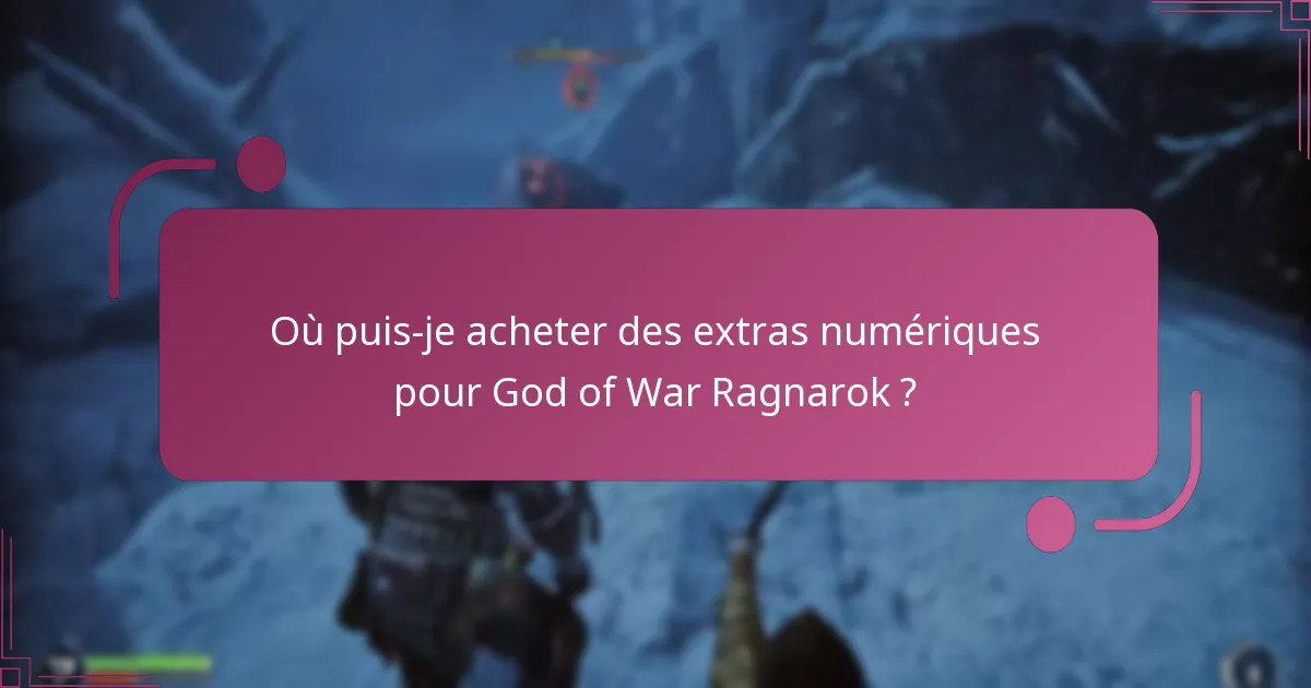 Quelle est l’évaluation de la valeur des extras numériques ?