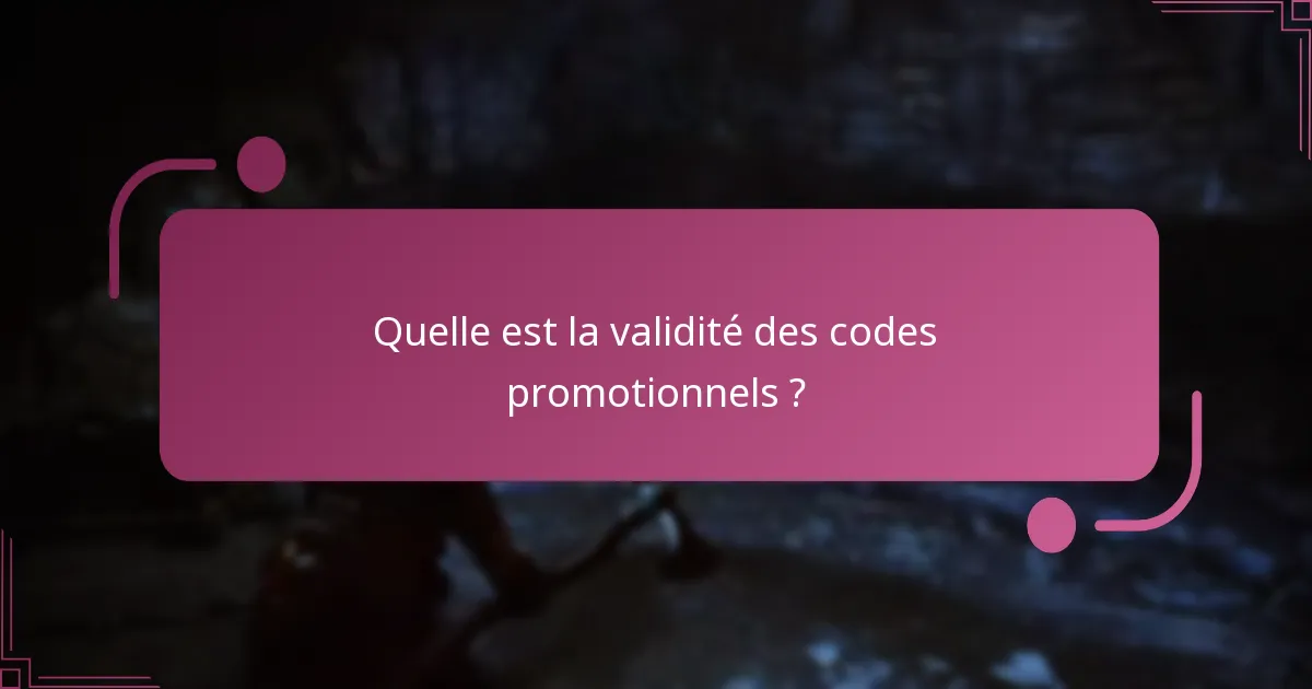Que faire si un code promotionnel ne fonctionne pas ?
